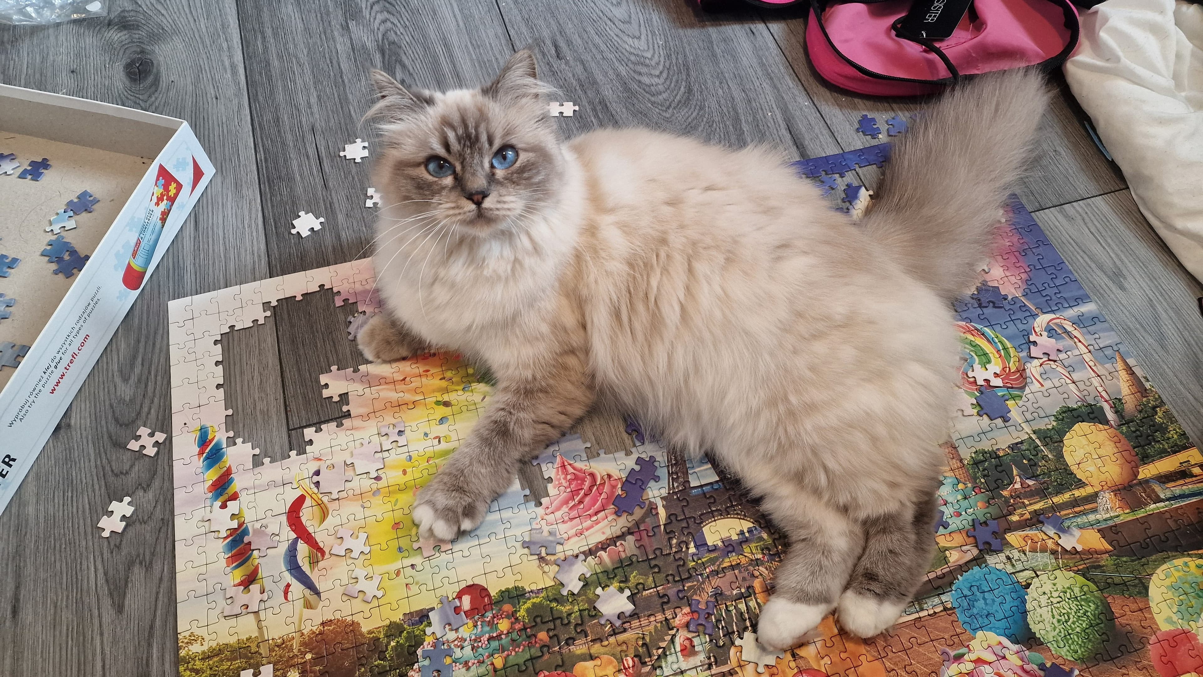 Diva
