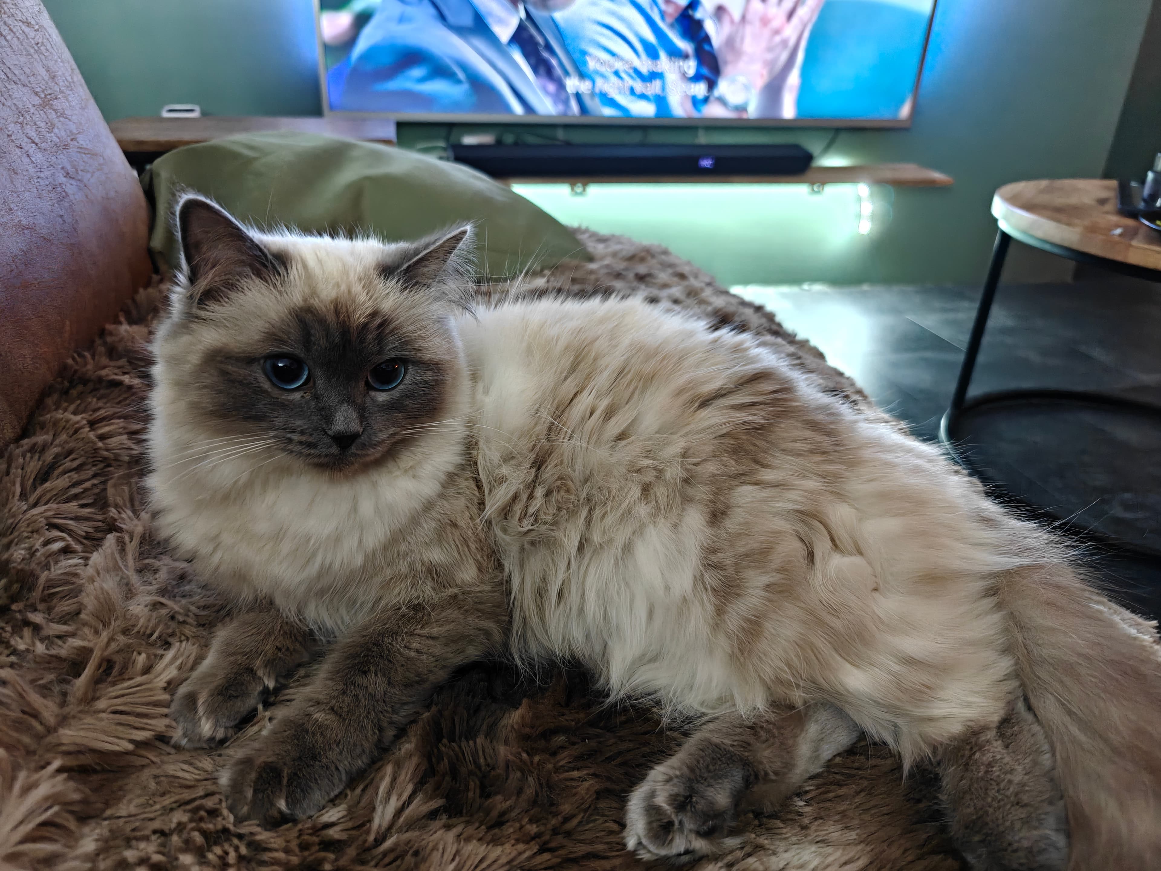 Nala