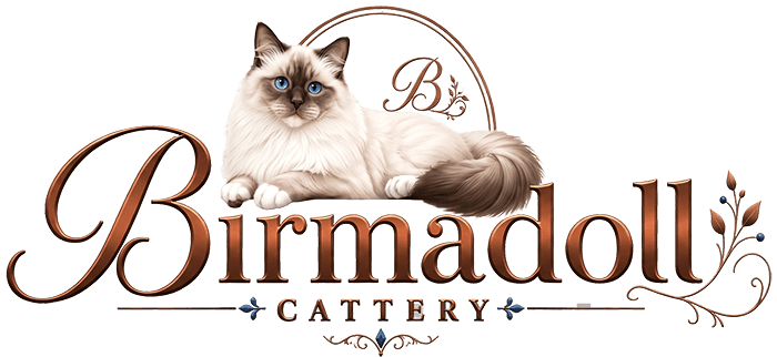 Birmadoll Cattery