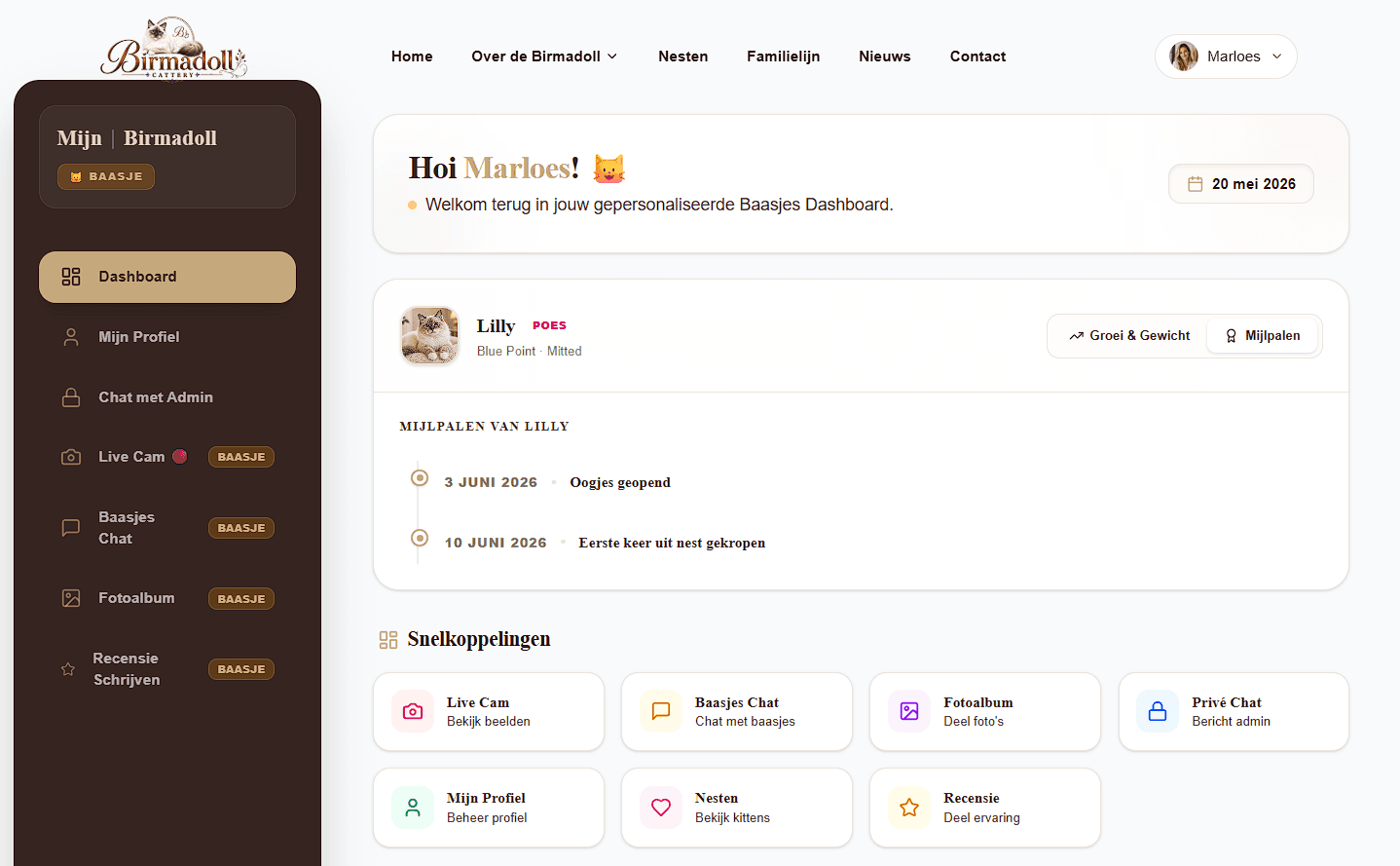 Mijlpalen dashboard