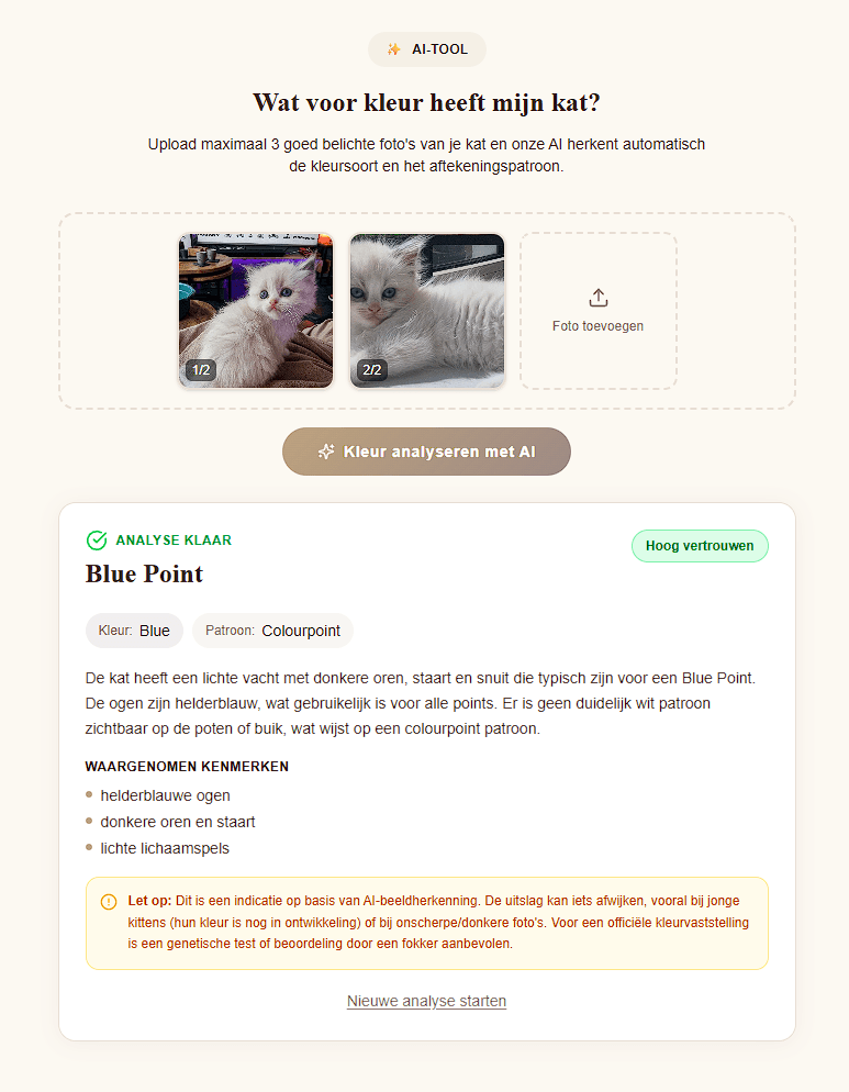 Nieuw: AI Kleurherkenning — ontdek de kleur van jouw kat! ✨